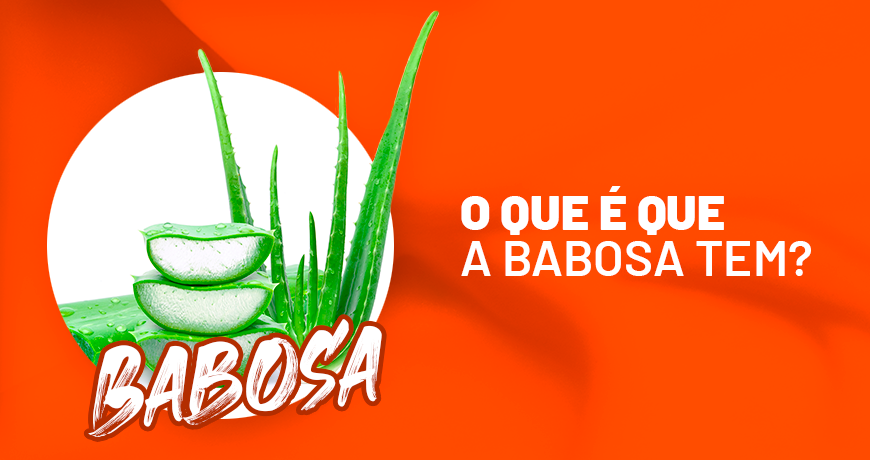 O que é que a babosa tem?