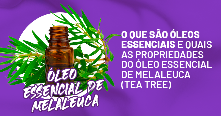 O que são Óleos Essenciais e Quais as Propriedades do Óleo Essencial de Melaleuca (Tea Tree)