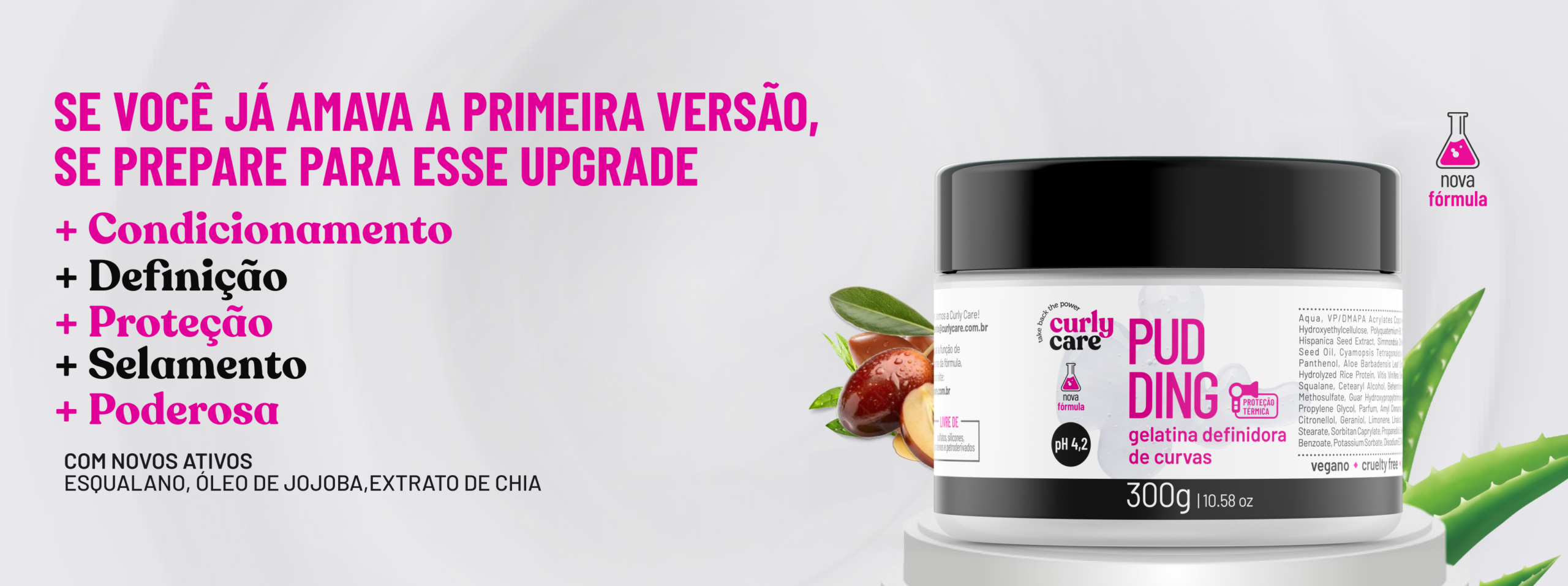 Capa Banner WordPress LPv2