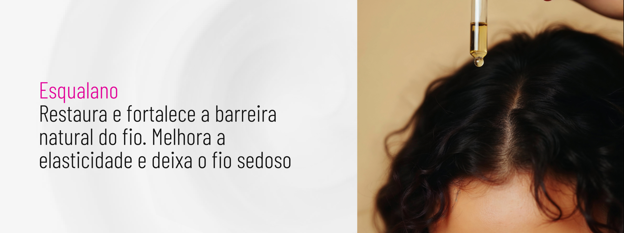 Esqualano Banner
