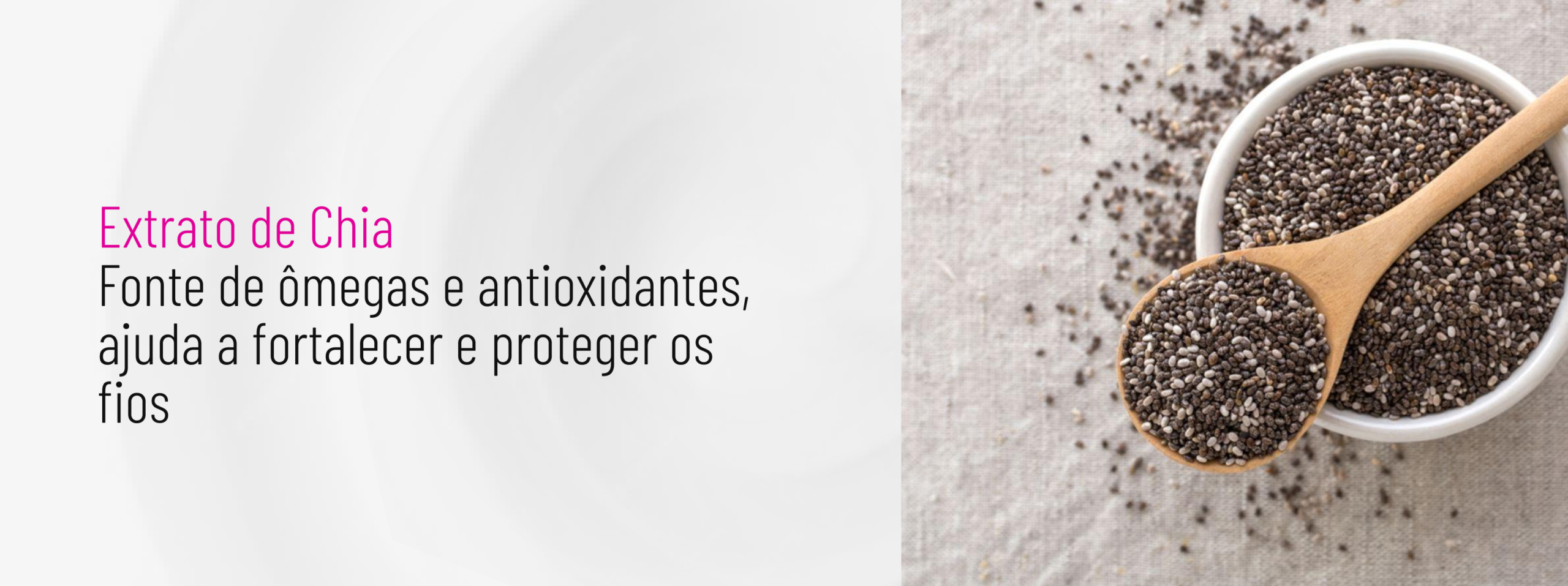 Extrato de Chia