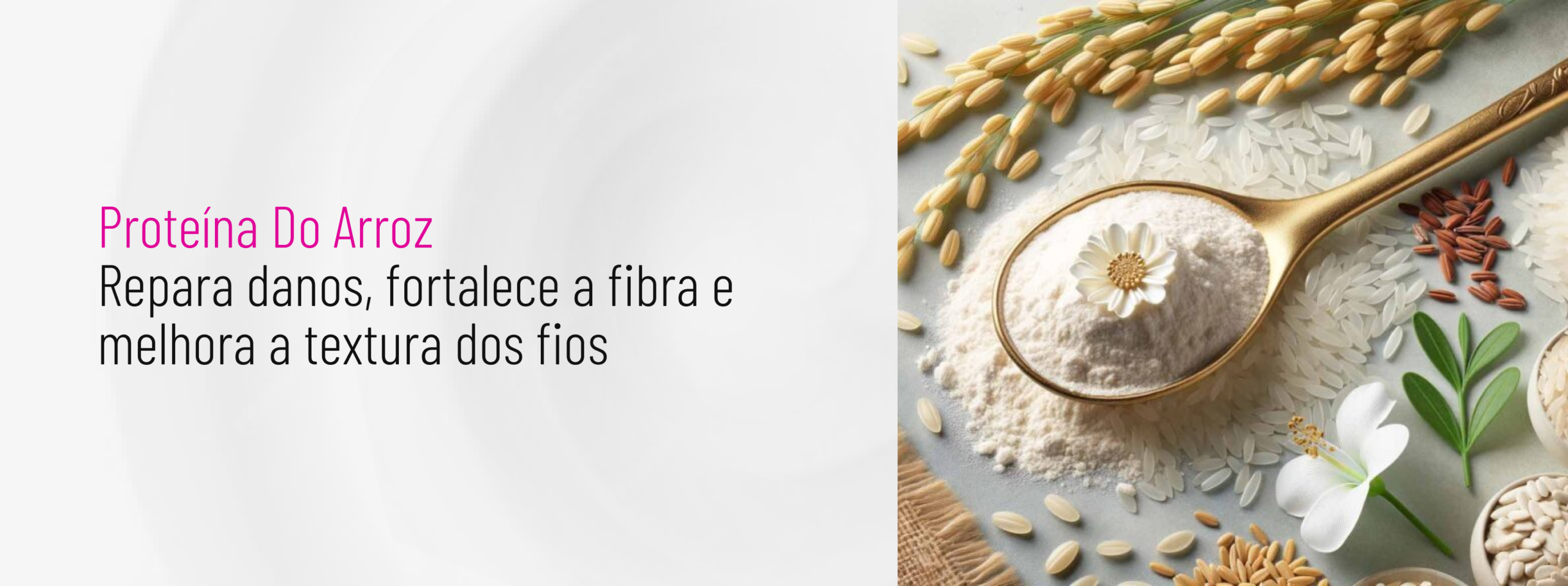 Proteina de Arroz